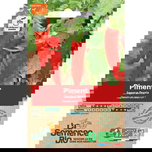 Graines bio de piment gorria dit d'Espelette