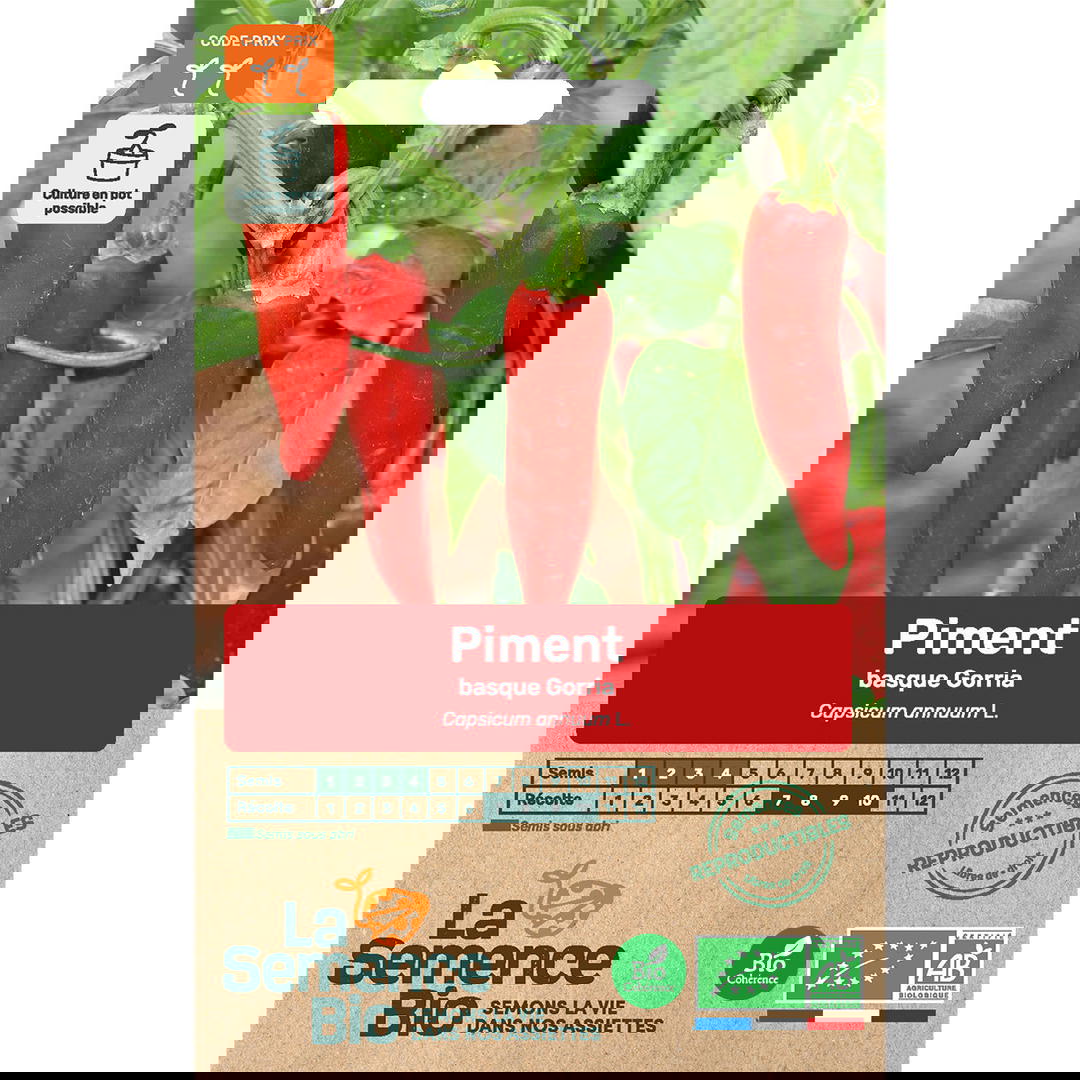 Graines bio de piment gorria dit d'Espelette