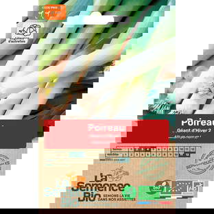 Graines bio de poireau géant d'hiver