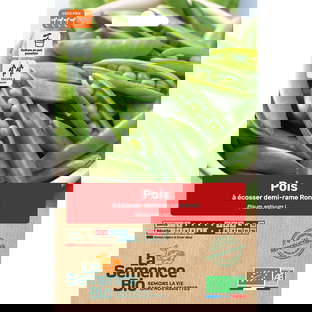 Graines Bio de Pois À Écosser Nain Rondo