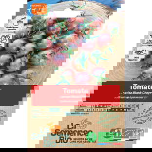 Graines bio de tomate black cherry