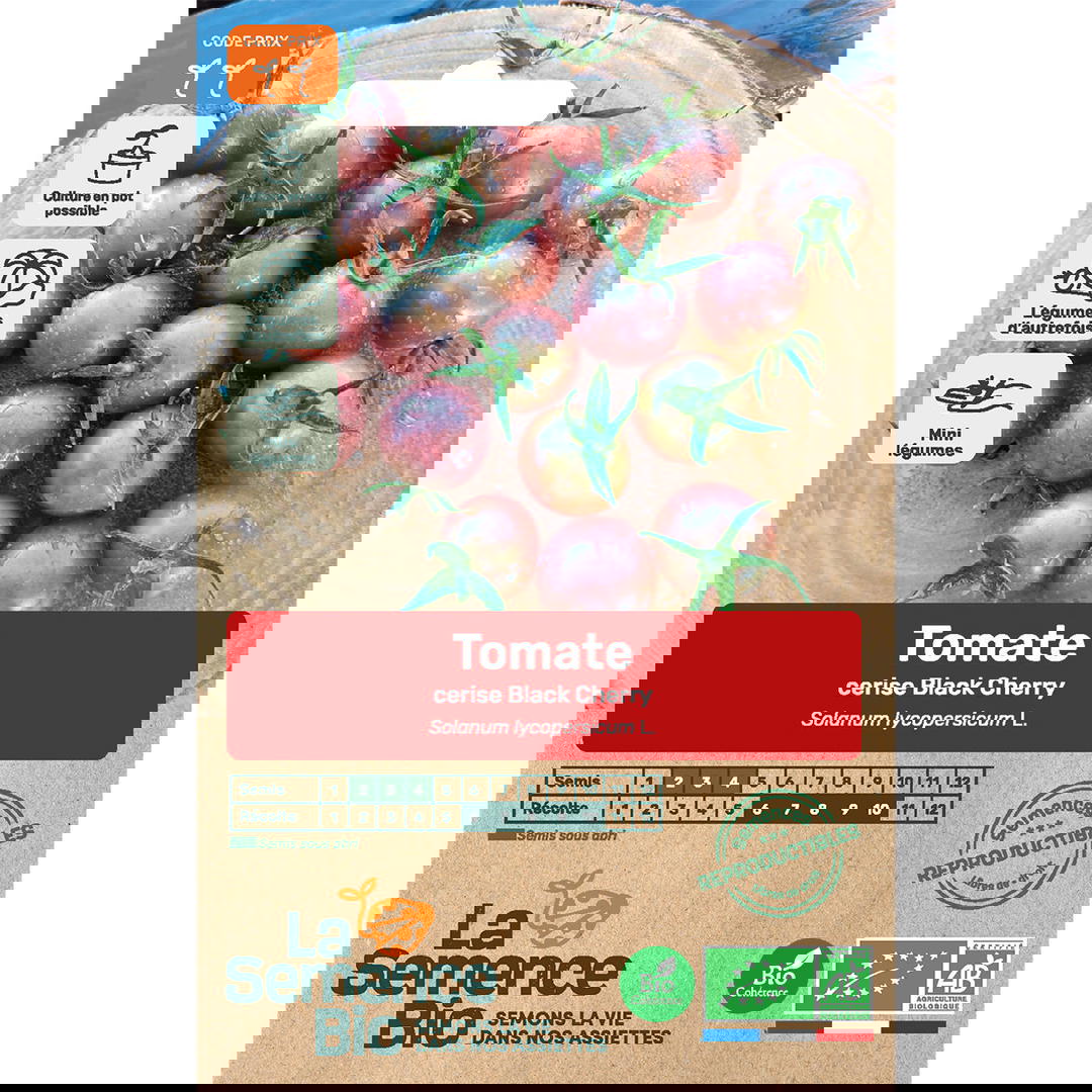 Graines bio de tomate black cherry