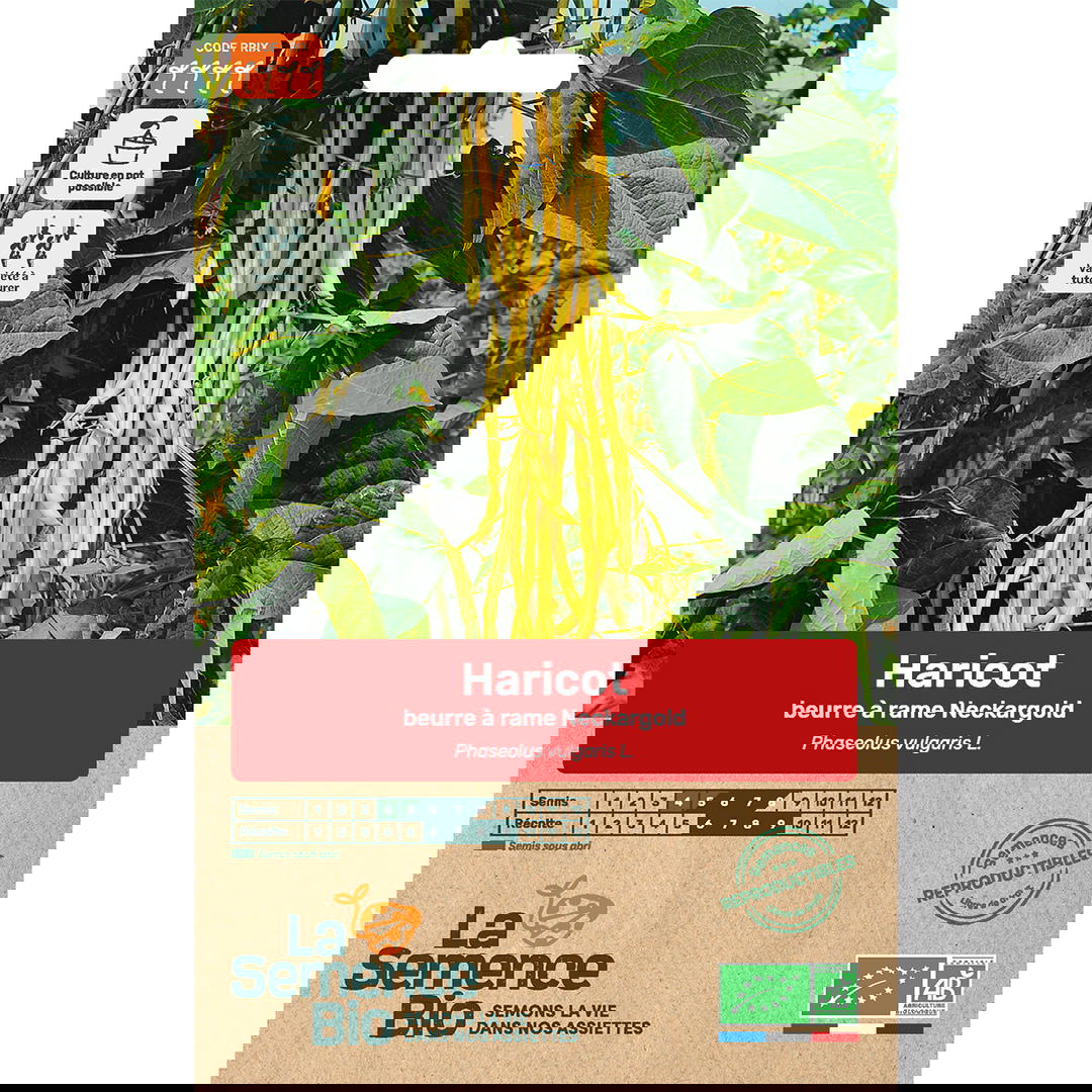 Graines Bio Haricot Beurre Grimpant Neckargold