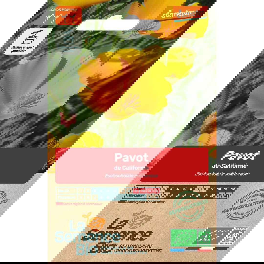 Graines Bio Pavot de Californie