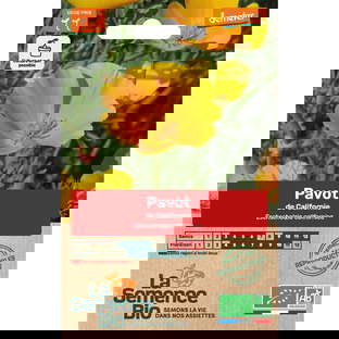 Graines Bio Pavot de Californie