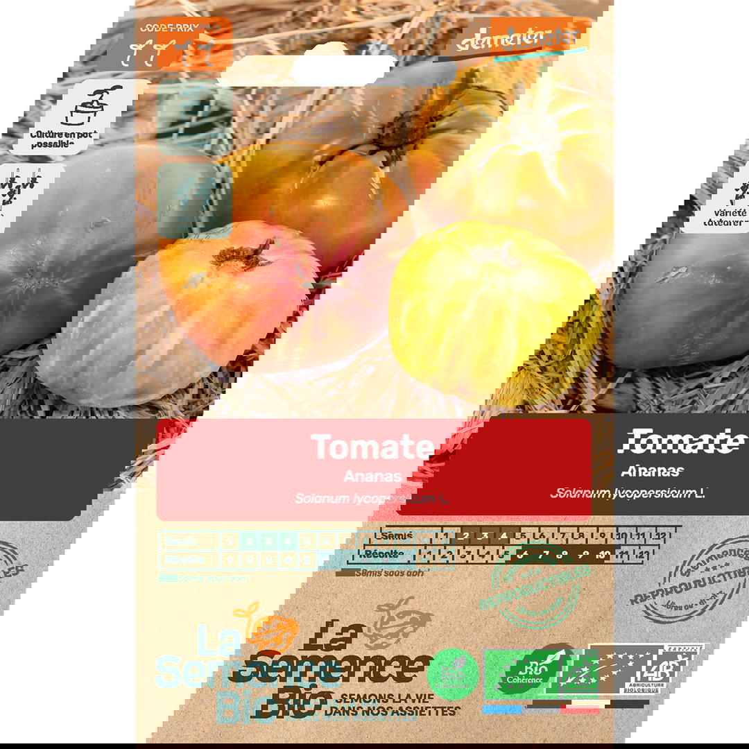 Graines Bio Tomate Ananas