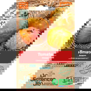 Graines Bio Tomate Ananas