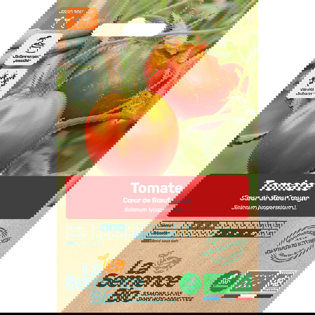 Graines Bio Tomate Coeur de Boeuf Rouge