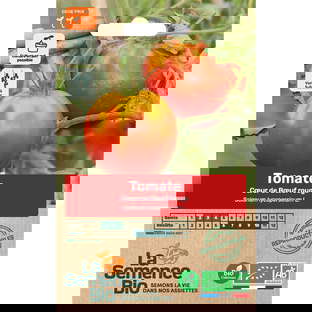 Graines Bio Tomate Coeur de Boeuf Rouge