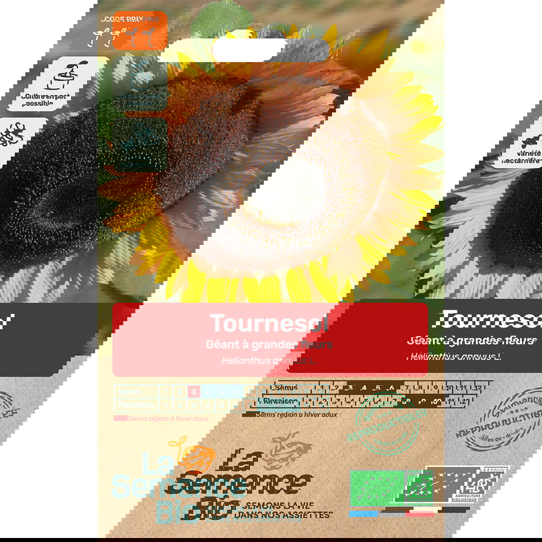 Graines Bio Tournesol Géant