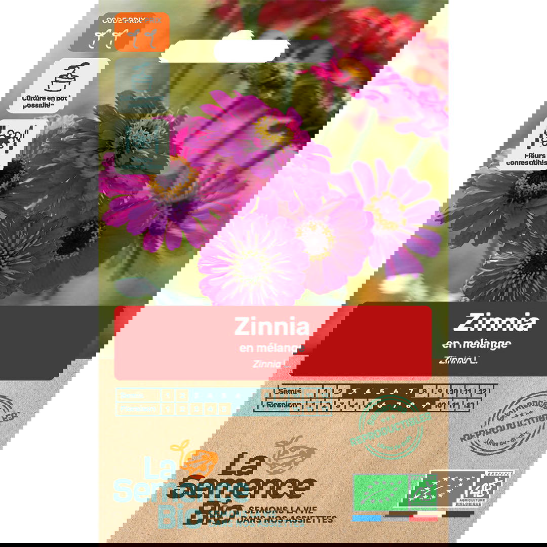 Graines Bio Zinnia en Mélange