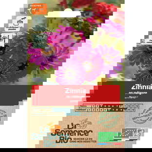 Graines Bio Zinnia en Mélange