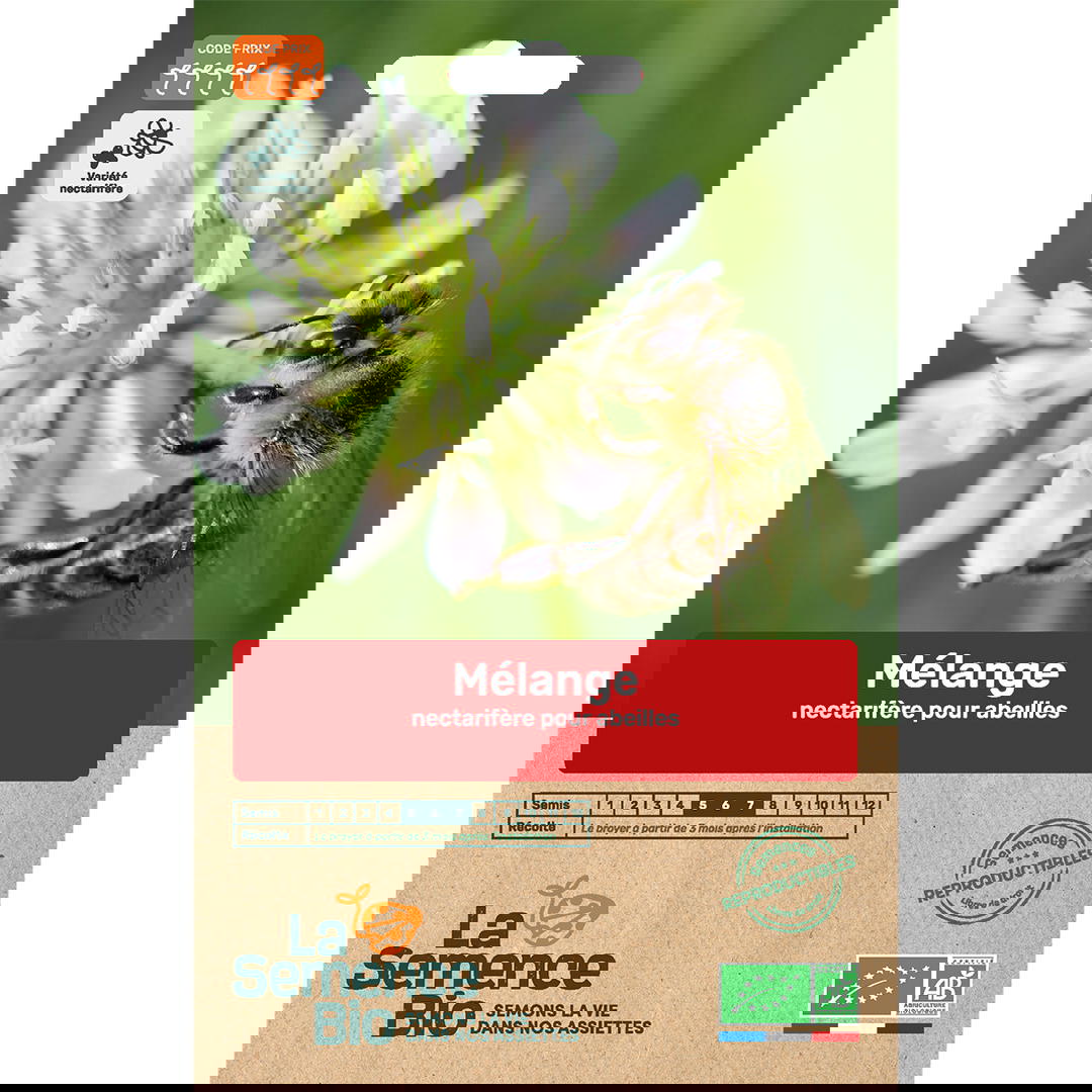 Graines Bio Mélange de Fleurs Abeilles