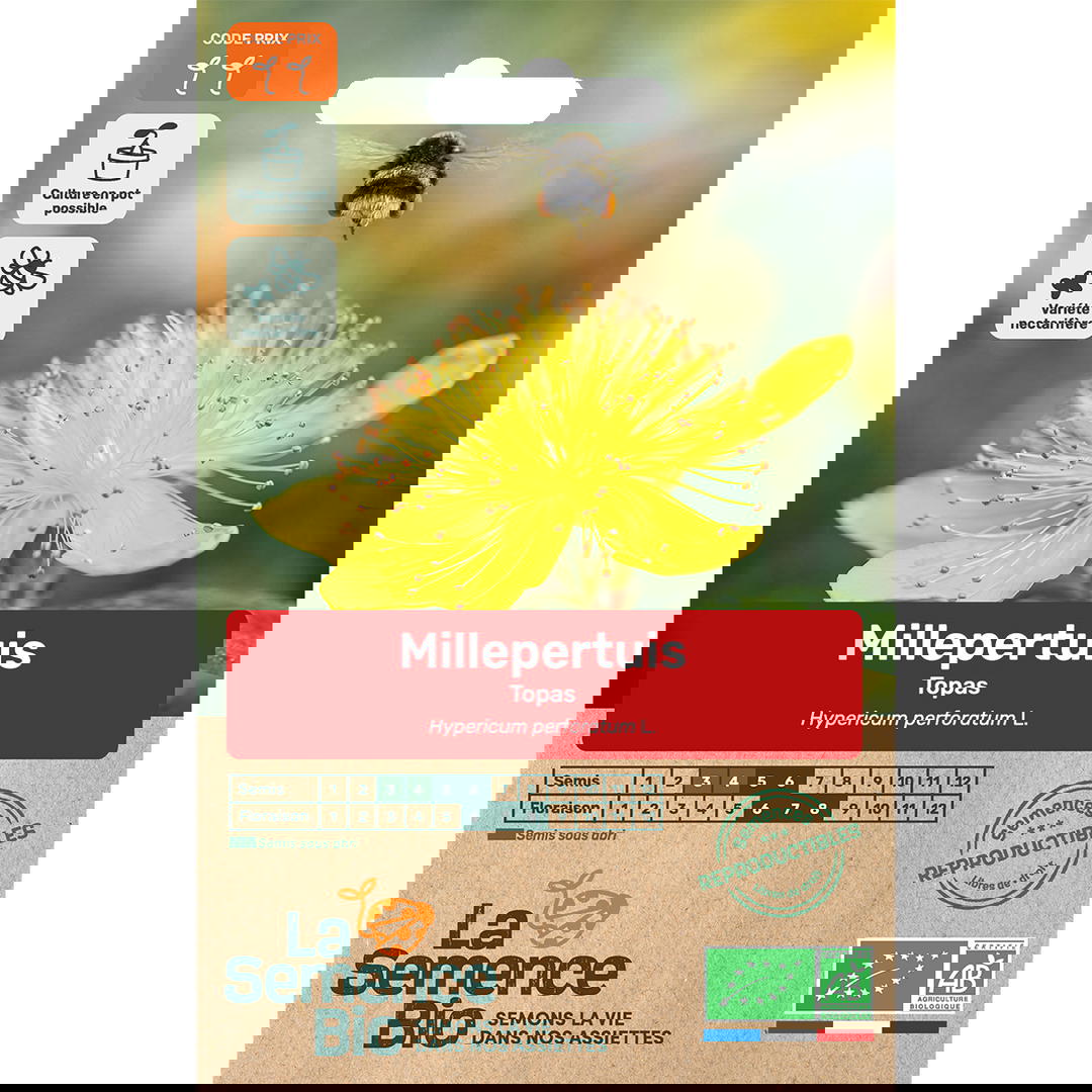 Graines Bio Millepertuis Topas