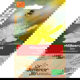 Graines Bio Millepertuis Topas