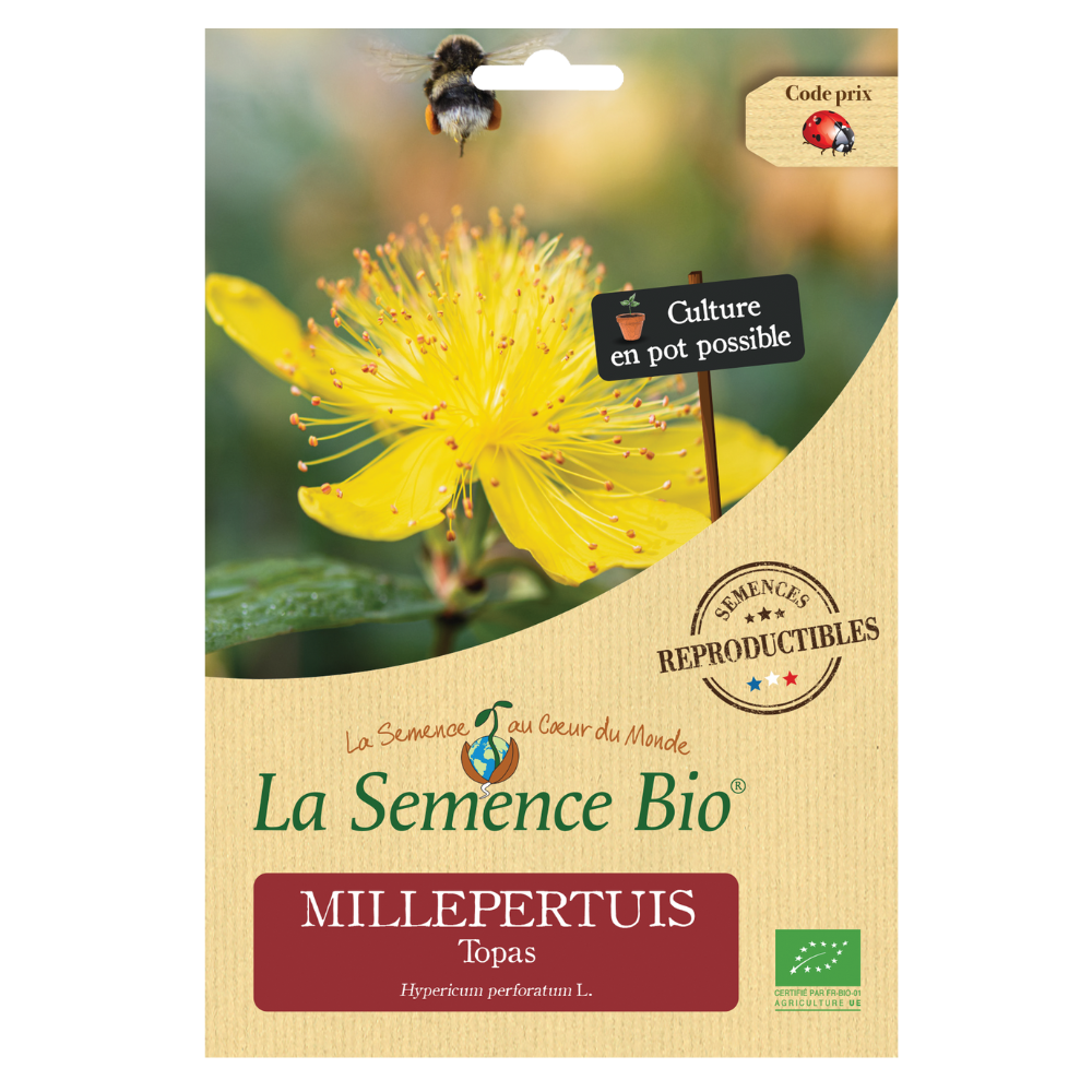 Graines Bio Millepertuis Topas
