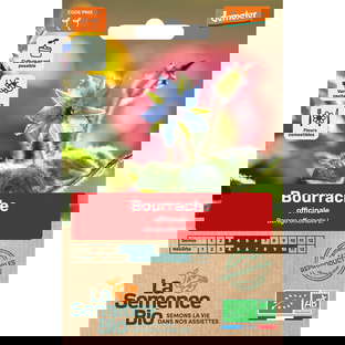 Graines Bio de Bourrache Variété Officinale