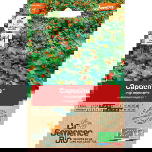 Graines Bio de Capucine Variété Nasturtium