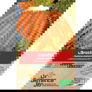 Graines bio de carotte variété nantaise améliorée 5