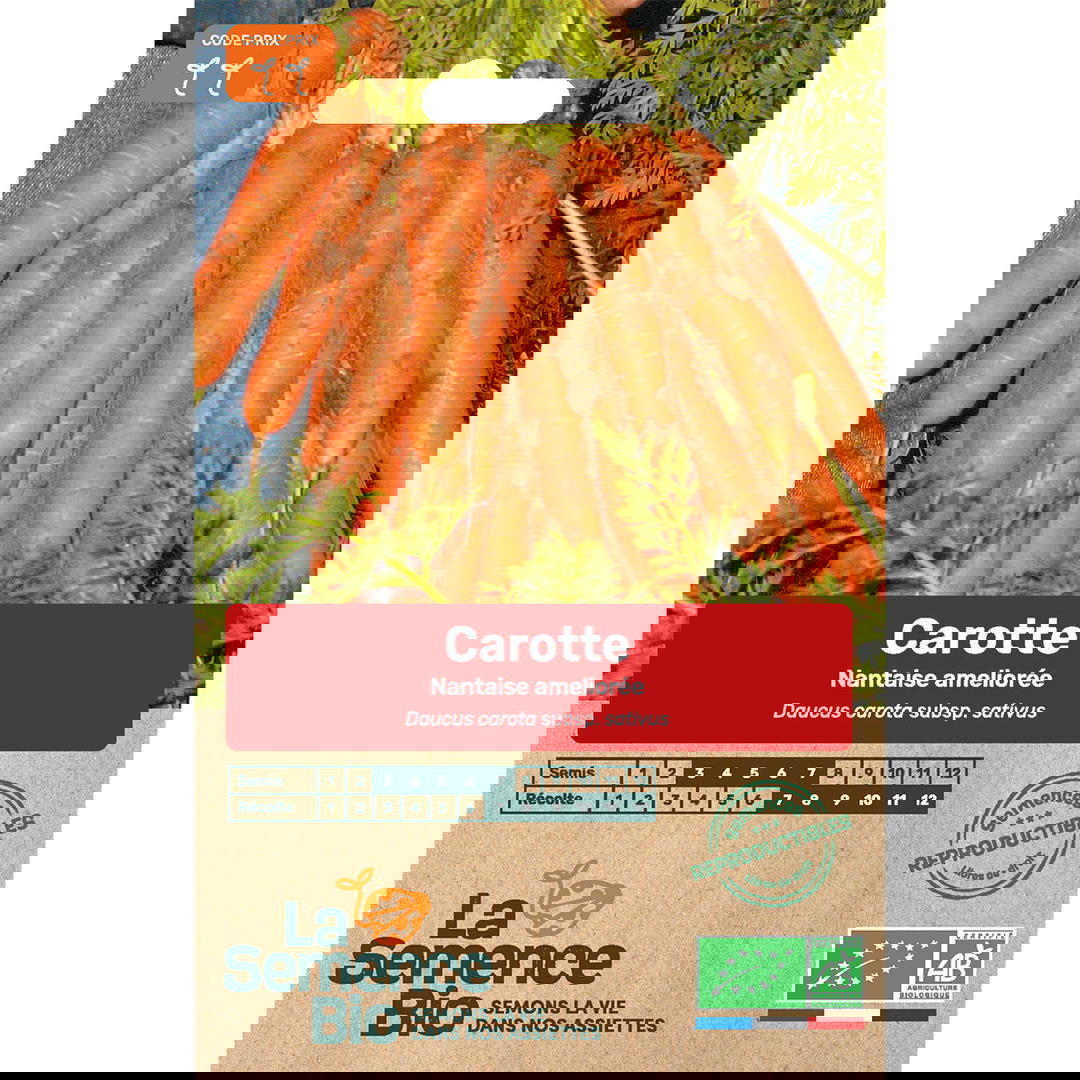 Graines bio de carotte variété nantaise améliorée 5