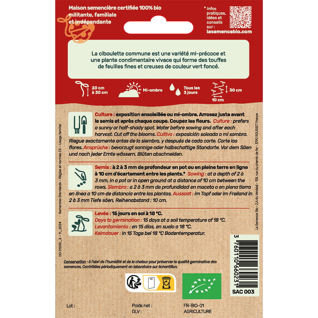 Graines Bio de Ciboulette Variété Commune
