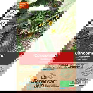 Graines Bio de Concombre Variété Marketmore