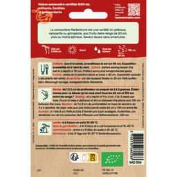 Graines Bio de Concombre Variété Marketmore