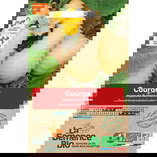 Graines Bio de Courge Variété Musquée Butternut