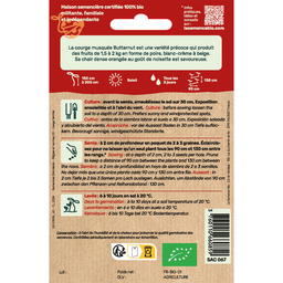 Graines Bio de Courge Variété Musquée Butternut