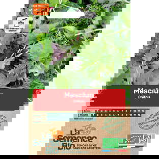 Graines bio mesclun variété crétois