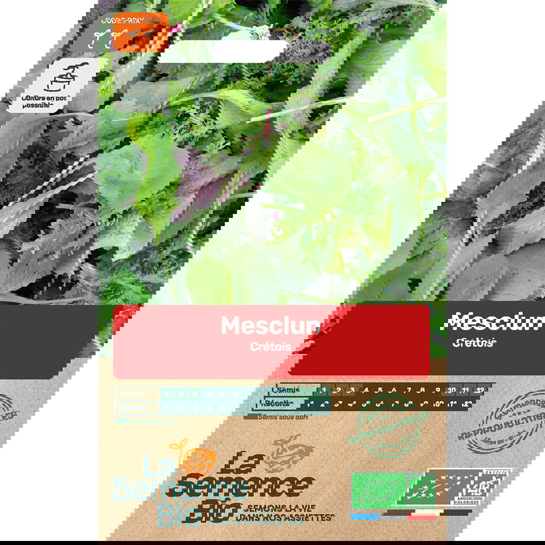 Graines bio mesclun variété crétois