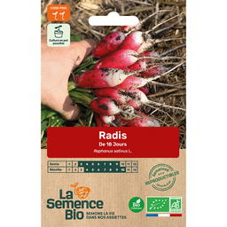 Graines Bio de Radis Variété De 18 Jours