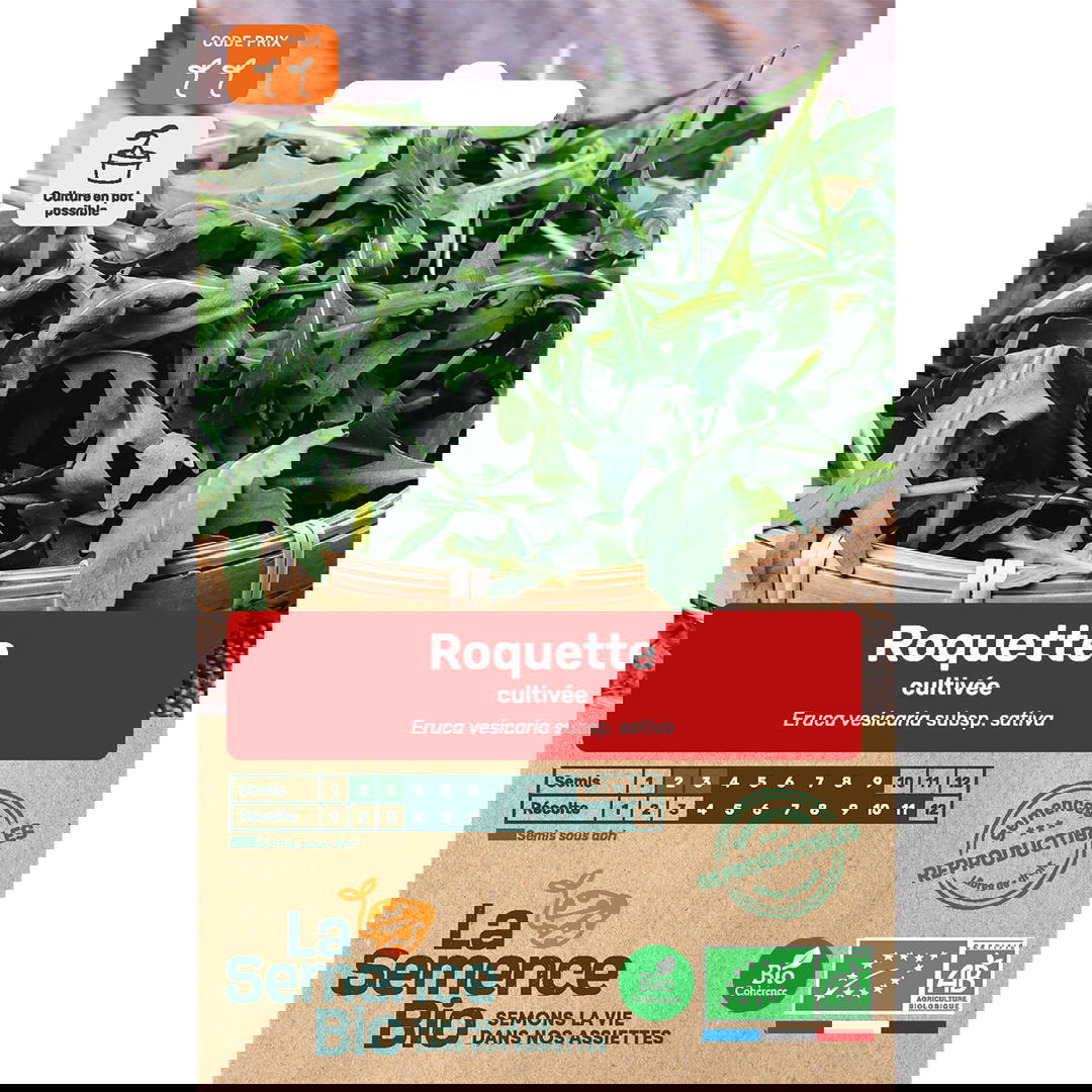 Graines Bio de Roquette Variété Cultivée