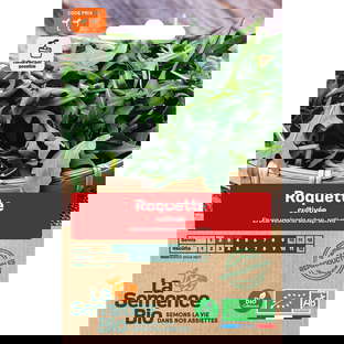 Graines Bio de Roquette Variété Cultivée