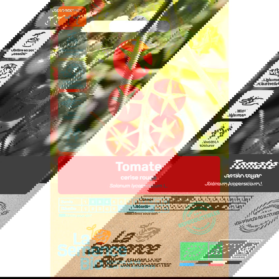 Graines bio de tomate variété cerise rouge