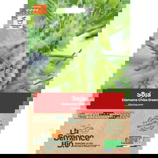Graines Bio Soja Edamame Chiba Green
