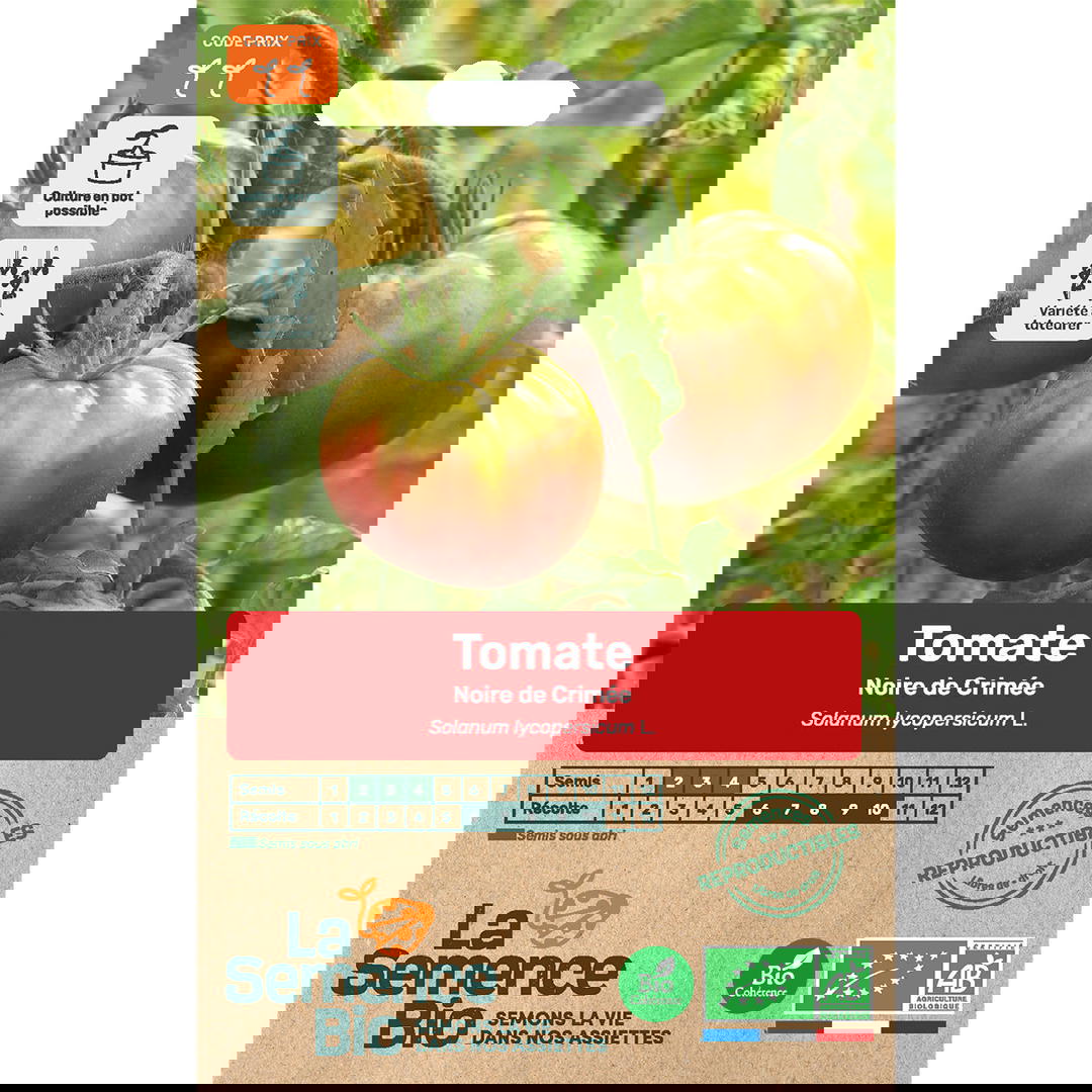Graines Bio Tomate Noire de Crimée