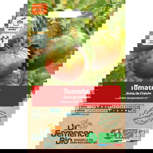 Graines Bio Tomate Noire de Crimée