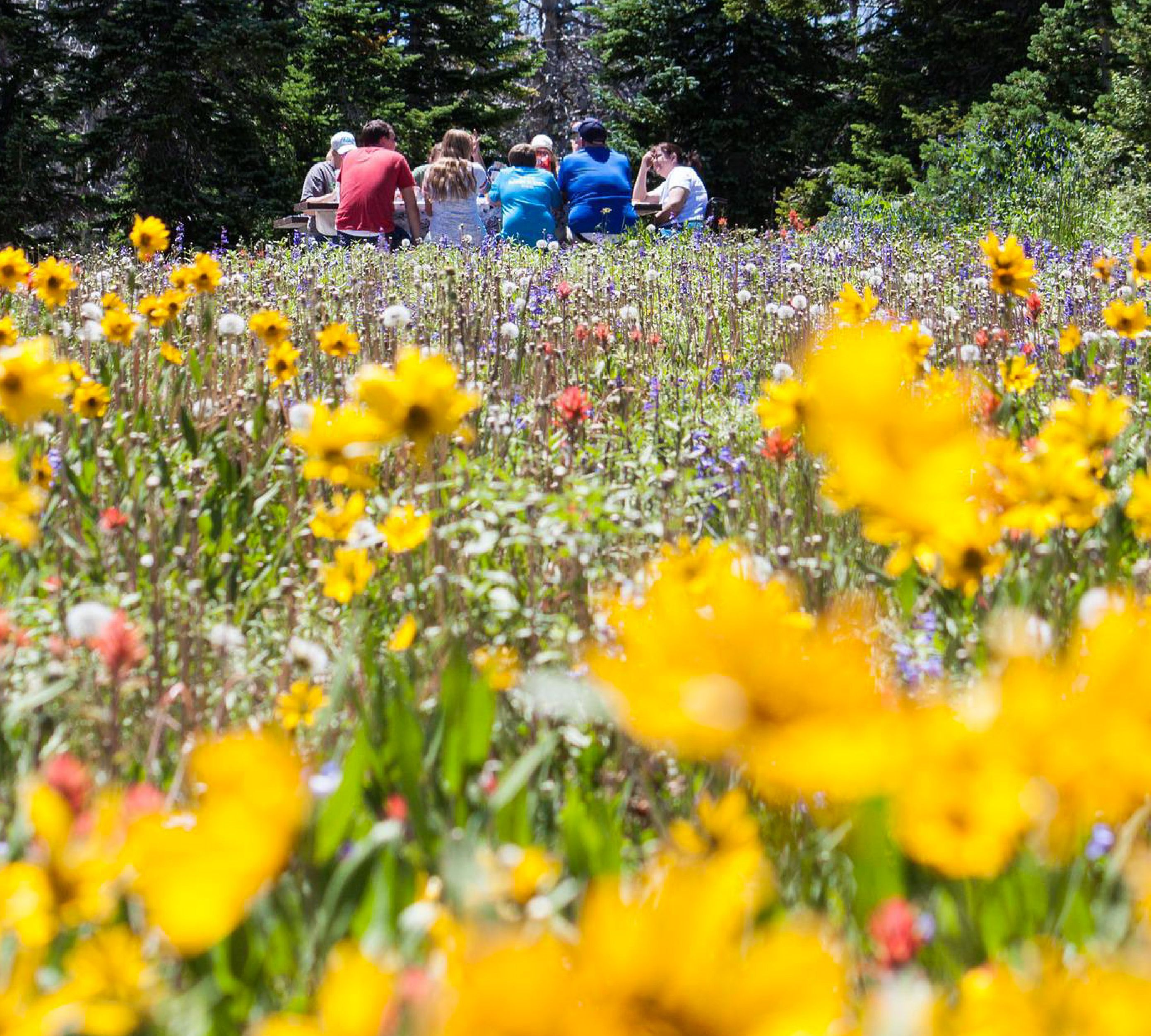 Les indispensables de l'été