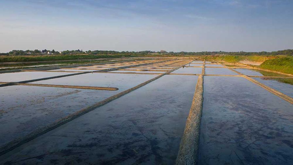 Morel et Le Chantoux
