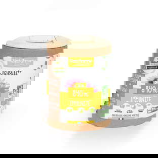 Échinacée Bio - Immunité x 200