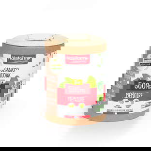 Ginkgo Biloba Bio - Mémoire x 200