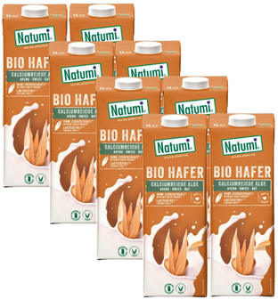 Bio Haferdrink Alge, Karton 8 Stk.