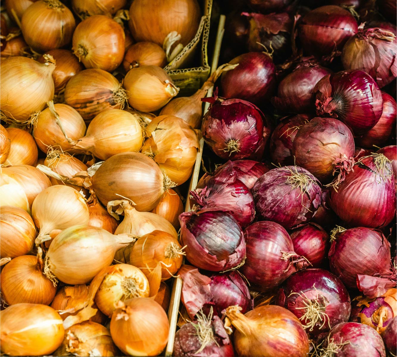 Pommes de terre et Condiments bio