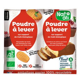 Poudre à Lever Sans Gluten Bio