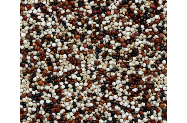 Quinoa