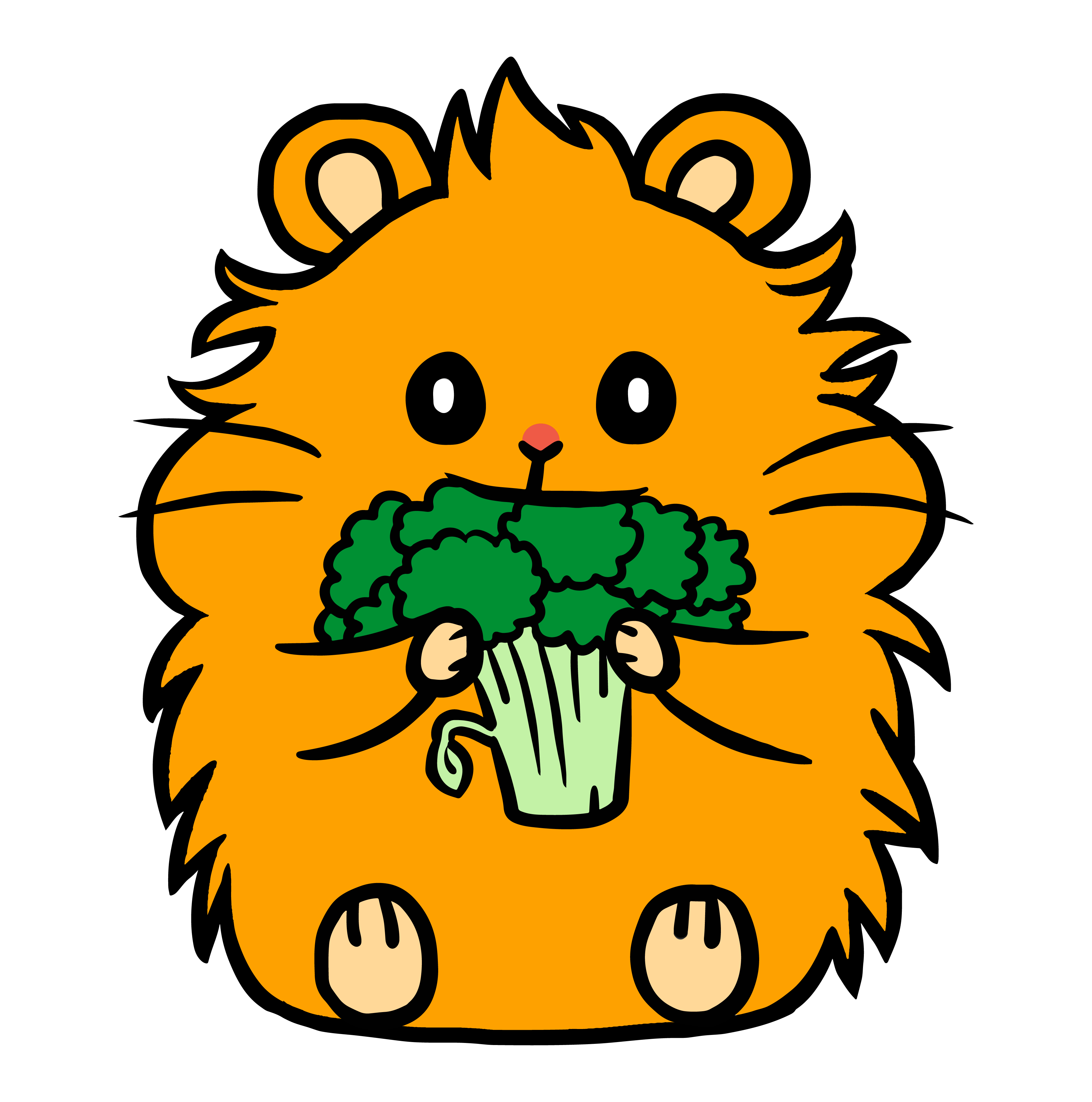 Sélection Hamstouille