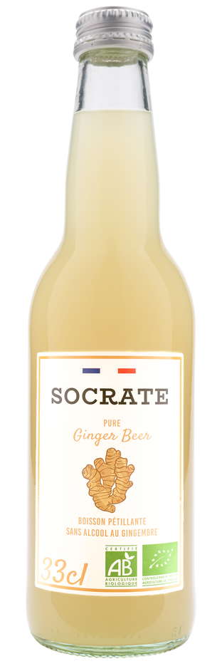 Pure Ginger Beer Bio