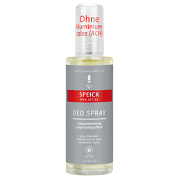 Deo Spray Men Active