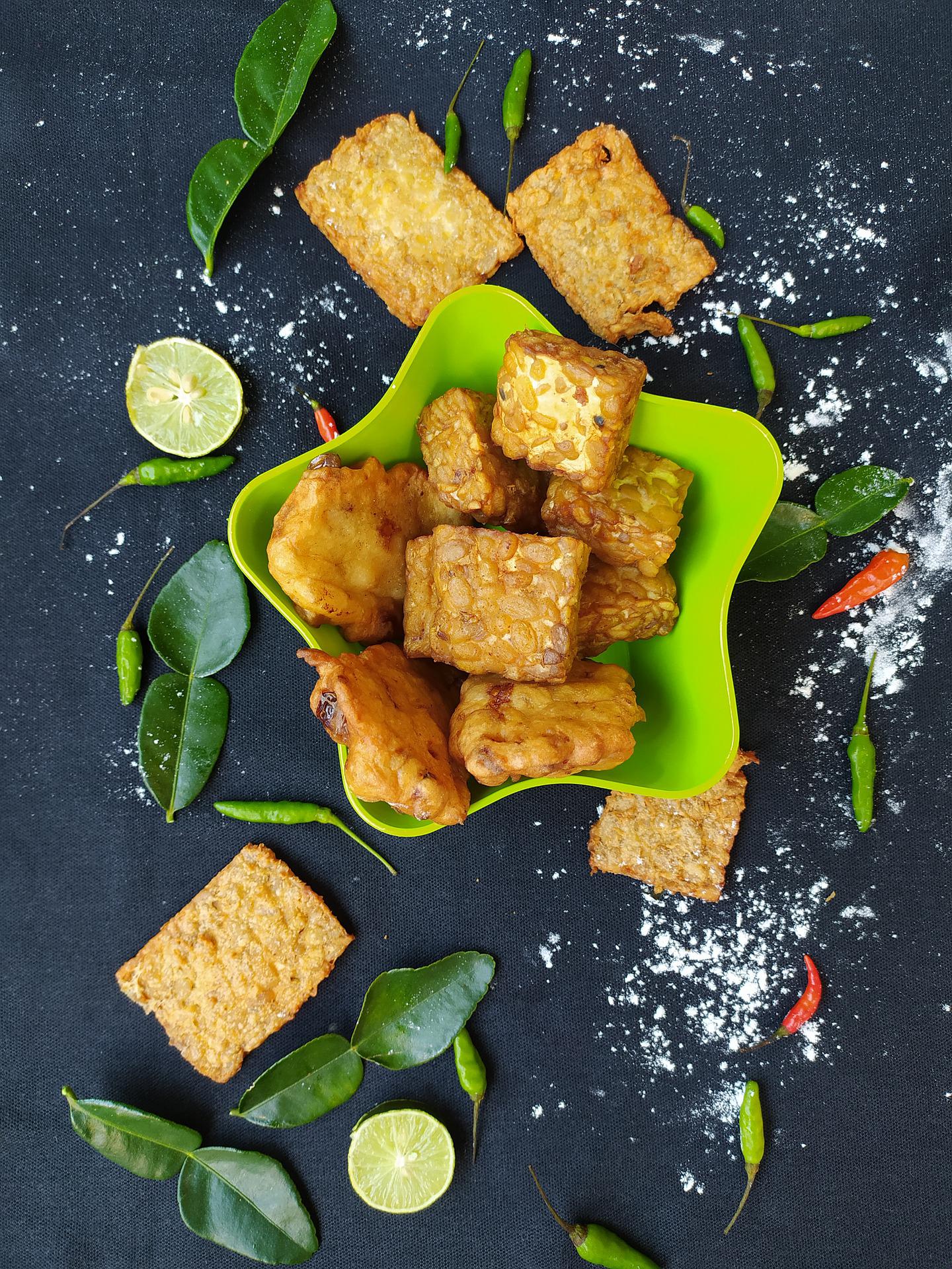 Tempeh bio